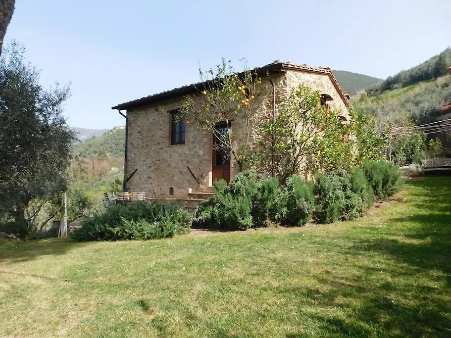 Chalet Le Vigne Del Grillo Villa Camaiore