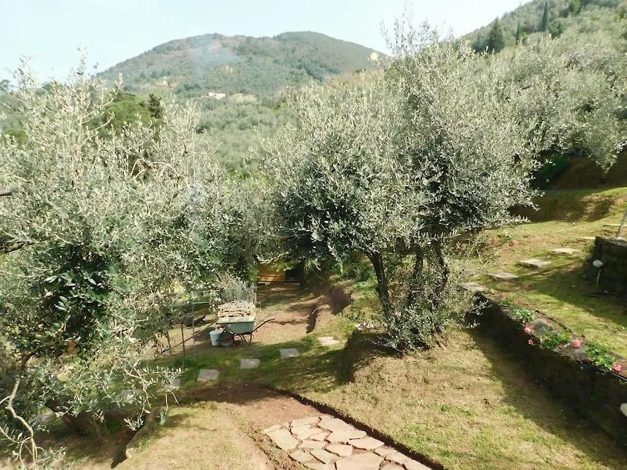 Le Vigne Del Grillo Villa Camaiore Chalet