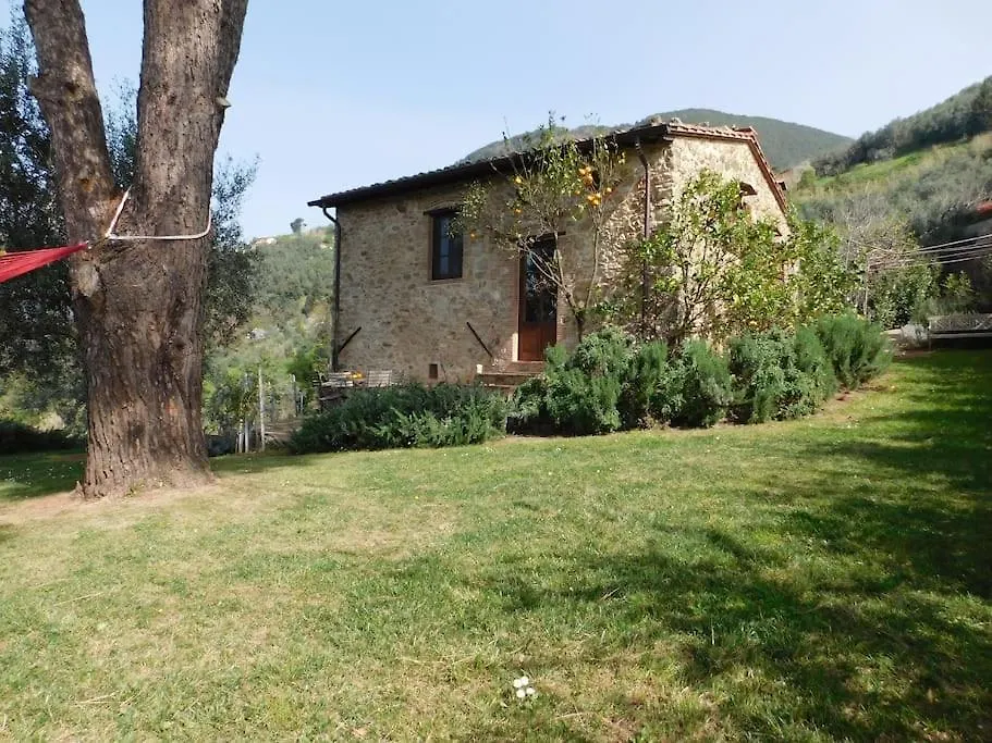 Le Vigne Del Grillo Villa Camaiore