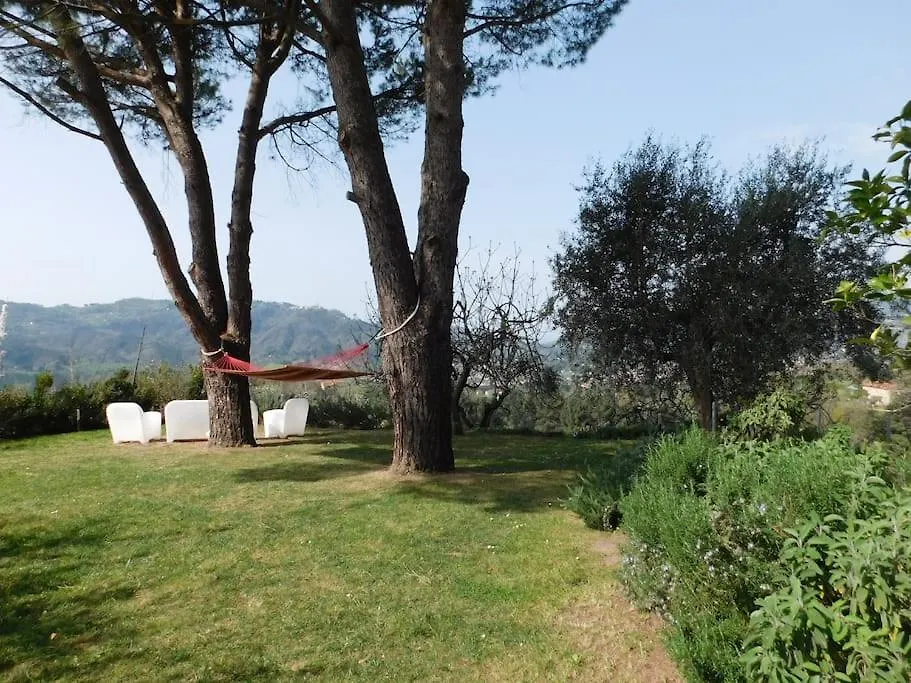 Chalet Le Vigne Del Grillo Villa Camaiore