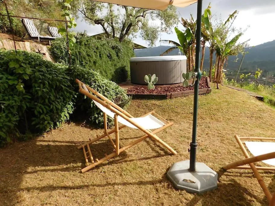 Le Vigne Del Grillo Villa Camaiore
