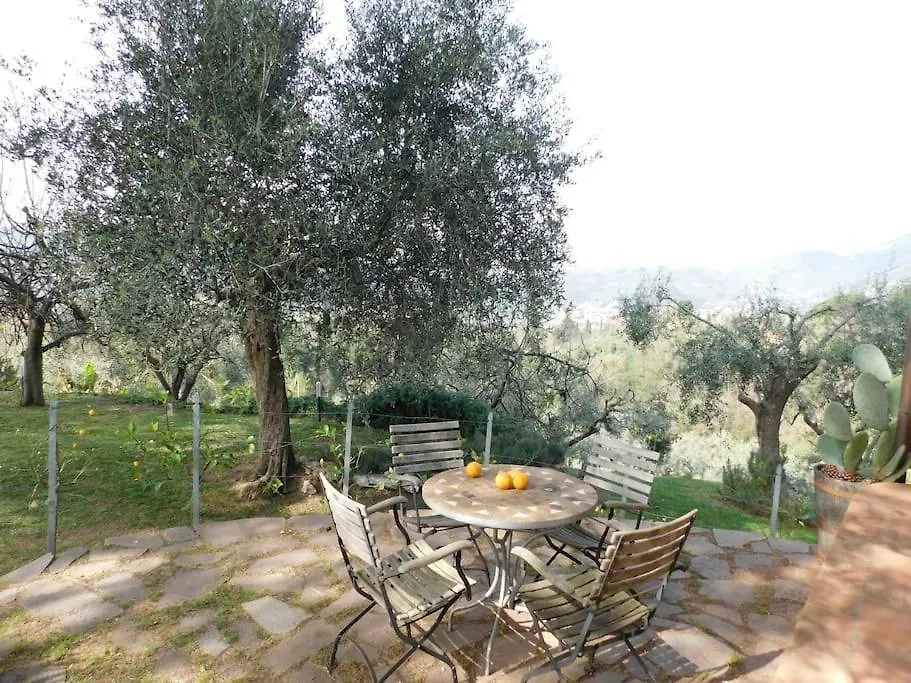 Chalet Le Vigne Del Grillo Villa Camaiore Italy