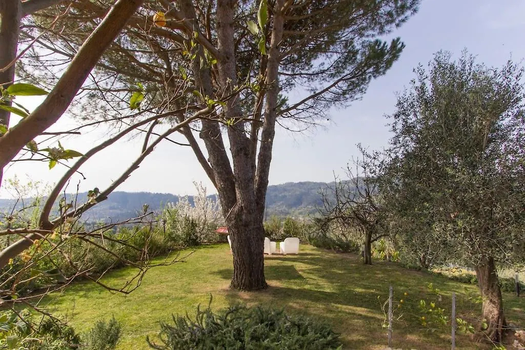 Le Vigne Del Grillo Villa Camaiore