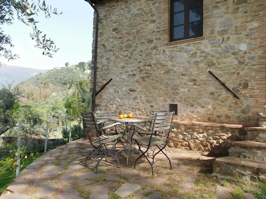Le Vigne Del Grillo Villa Camaiore 0*,