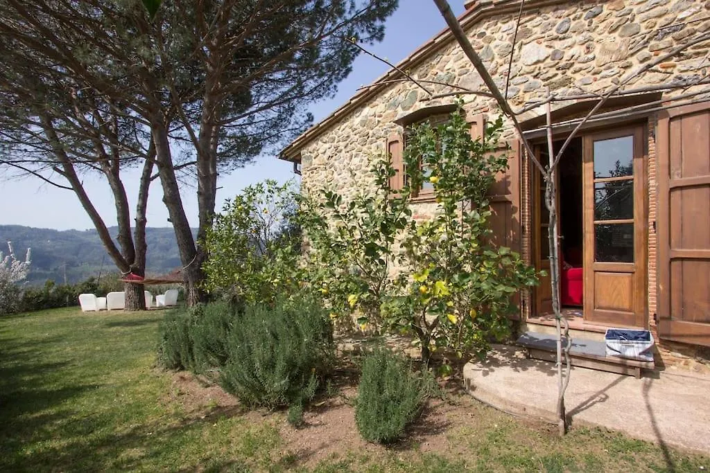 Le Vigne Del Grillo contacts